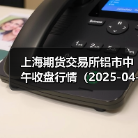 上海期货交易所铝市中午收盘行情（2025-04-22 11:33）（图2）