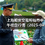 上海期货交易所铝市中午收盘行情（2025-04-22 11:33）（图1）