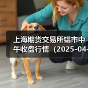 上海期货交易所铝市中午收盘行情（2025-04-22 11:33）（图4）