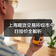 上海期货交易所铝市今日报价全解析(图2) 上海期货交易所铝市今日报价全解析(图2)