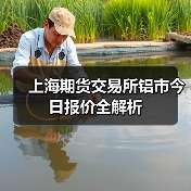 上海期货交易所铝市今日报价全解析(图4) 上海期货交易所铝市今日报价全解析(图4)