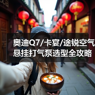 奥迪Q7/卡宴/途锐空气悬挂打气泵选型全攻略（图1）