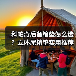 科帕奇后备箱垫怎么选？立体尾箱垫实用推荐（图4）