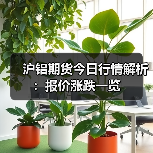 沪铝期货今日行情解析:报价涨跌一览(图3) 沪铝期货今日行情解析:报价涨跌一览(图3)