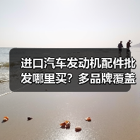 进口汽车发动机配件批发哪里买？多品牌覆盖原厂正品保障（图3）