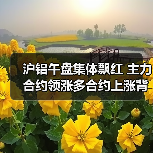 沪铝午盘集体飘红 主力合约领涨多合约上涨背后逻辑是什么(图4) 沪铝午盘集体飘红 主力合约领涨多合约上涨背后逻辑是什么(图4)