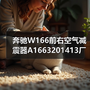 奔驰W166前右空气减震器A1663201413厂家直销 原厂品质保障(图4) 奔驰W166前右空气减震器A1663201413厂家直销 原厂品质保障(图4)