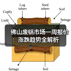 佛山废铝市场一周报价:涨跌趋势全解析(图4) 佛山废铝市场一周报价:涨跌趋势全解析(图4)