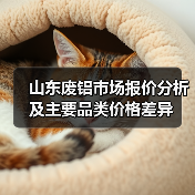 山东废铝市场报价分析及主要品类价格差异(图3) 山东废铝市场报价分析及主要品类价格差异(图3)