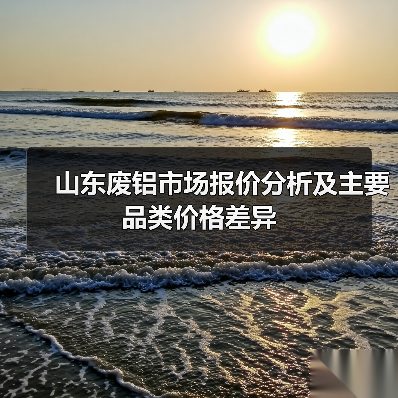 山东废铝市场报价分析及主要品类价格差异(图2) 山东废铝市场报价分析及主要品类价格差异(图2)