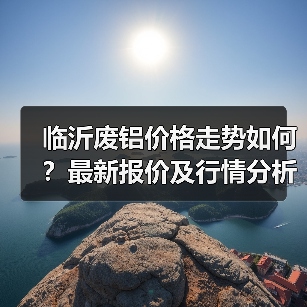 临沂废铝价格走势如何?最新报价及行情分析(图4) 临沂废铝价格走势如何?最新报价及行情分析(图4)