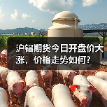 沪铝期货今日开盘价大涨，价格走势如何？（图2）