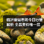 临沂废铝市场今日行情解析 全品类价格一览(图2) 临沂废铝市场今日行情解析 全品类价格一览(图2)