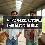M6马车螺栓批发供应 碳钢材质 价格合理（图2）