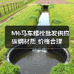 M6马车螺栓批发供应 碳钢材质 价格合理（图3）
