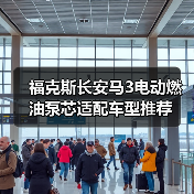 福克斯长安马3电动燃油泵芯适配车型推荐（图2）