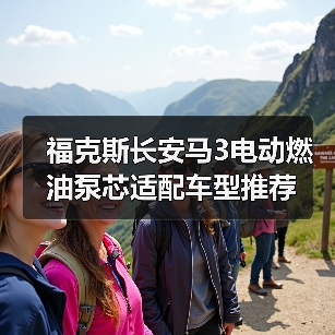 福克斯长安马3电动燃油泵芯适配车型推荐（图4）