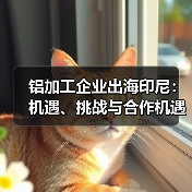 铝加工企业出海印尼:机遇、挑战与合作机遇(图3) 铝加工企业出海印尼:机遇、挑战与合作机遇(图3)