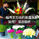 铝市主力合约收盘涨跌如何？深度解析（图3）