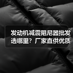 发动机减震阻尼器批发选哪里?厂家直供优质解决方案(图3) 发动机减震阻尼器批发选哪里?厂家直供优质解决方案(图3)
