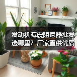 发动机减震阻尼器批发选哪里?厂家直供优质解决方案(图4) 发动机减震阻尼器批发选哪里?厂家直供优质解决方案(图4)