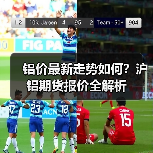 铝价最新走势如何？沪铝期货报价全解析（图2）