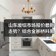 山东废铝市场报价最新走势？铝合金断桥料易拉罐行情解析（图4）