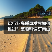 铝行业高质量发展如何推进？范顺科调研南山铝业揭示关键策略（图4）