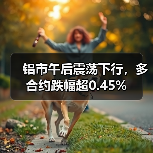 铝市午后震荡下行，多合约跌幅超0.45%（图4）