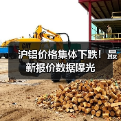 沪铝价格集体下跌！最新报价数据曝光（图2）