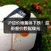 沪铝价格集体下跌！最新报价数据曝光（图3）