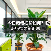 今日废铝报价如何?临沂行情最新汇总(图3) 今日废铝报价如何?临沂行情最新汇总(图3)