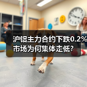 沪铝主力合约下跌0.2% 市场为何集体走低?(图1) 沪铝主力合约下跌0.2% 市场为何集体走低?(图1)