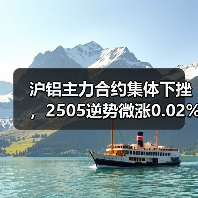 沪铝主力合约集体下挫，2505逆势微涨0.02%引关注（图1）