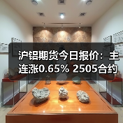 沪铝期货今日报价:主连涨0.65% 2505合约上涨100元(图2) 沪铝期货今日报价:主连涨0.65% 2505合约上涨100元(图2)