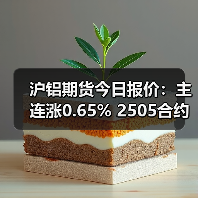 沪铝期货今日报价:主连涨0.65% 2505合约上涨100元(图3) 沪铝期货今日报价:主连涨0.65% 2505合约上涨100元(图3)