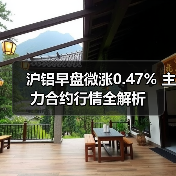 沪铝早盘微涨0.47% 主力合约行情全解析（图2）