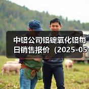 中铝公司铝锭氧化铝每日销售报价（2025-05-30）（图4）