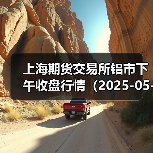 上海期货交易所铝市下午收盘行情（2025-05-30 15:03）（图3）