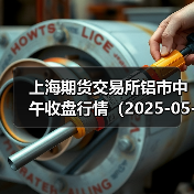 上海期货交易所铝市中午收盘行情（2025-05-30 11:33）（图1）