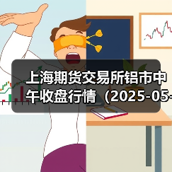 上海期货交易所铝市中午收盘行情（2025-05-30 11:33）（图4）