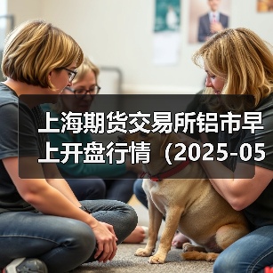上海期货交易所铝市早上开盘行情（2025-05-30 09:03）（图3）