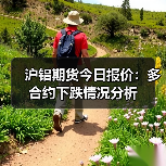 沪铝期货今日报价：多合约下跌情况分析（图2）