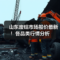 山东废铝市场报价最新！各品类行情分析（图3）
