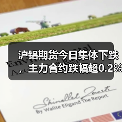 沪铝期货今日集体下跌，主力合约跌幅超0.2%（图2）