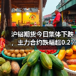 沪铝期货今日集体下跌，主力合约跌幅超0.2%（图3）