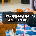 沪铝价格近期如何？最新报价涨跌分析（图1）
