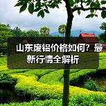 山东废铝价格如何？最新行情全解析（图2）