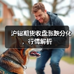 沪铝期货收盘涨跌分化，行情解析（图3）