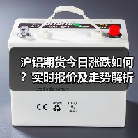 沪铝期货今日涨跌如何？实时报价及走势解析（图2）